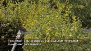 Бензиновые мотосекаторы STIHL, рез над головой с наклоненным ножом