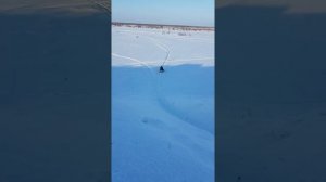 Снегоход Рысь.