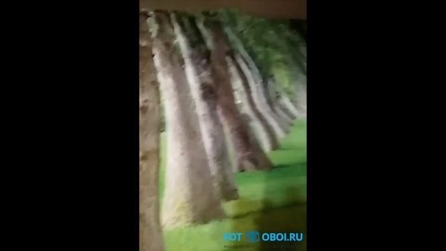 Отзыв fot-oboi.ru смотреть онлайн