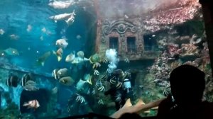 Океанариум г.Воронеж