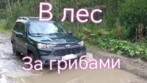 Лада Нива Тревел /// После дождя в лес, за грибами #ниватревел #грибы #лес