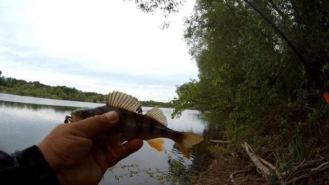Микроджиг на донском затоне. смотреть онлайн