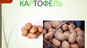 Презентация для детей по Доману. Овощи и фрукты, ягоды