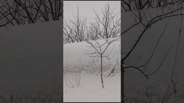 зимушка-зима