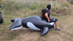 inflatable whale Pop nature