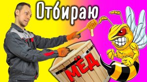 Отбираю мед у пчел