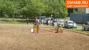 Красочный костюмированный фестиваль конного спорта прошел в Хабаровске
