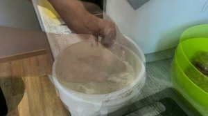 ✅ КАК ПРИГОТОВИТЬ ВКУСНОГО ЯЗЯ И БЕЗ МЕЛКТХ КОСТЕЙ !