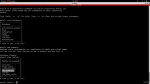 ЧТО такое SQL-ИНЪЕКЦИЯ?