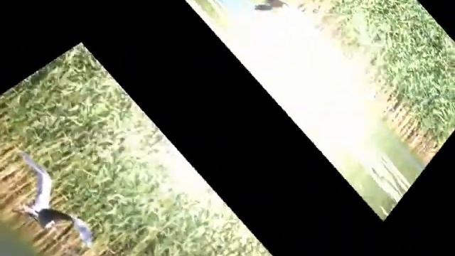 Краса Херсона(3) Корсунка,с кувшинками, аистами и цаплями смотреть онлайн