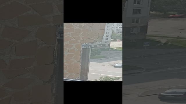 Меня атаковали осы. Часть 2.mp4