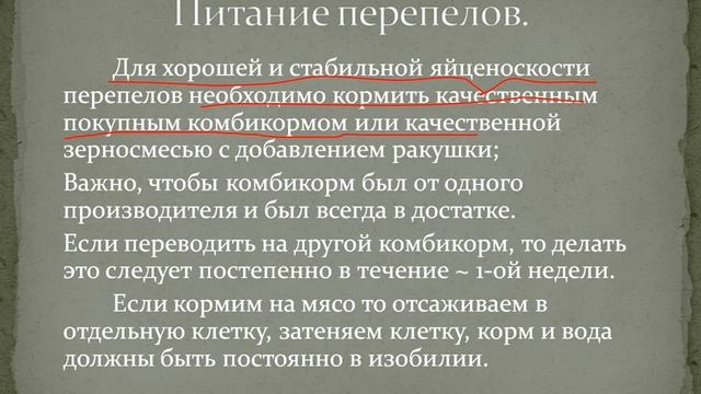 ВАП3_Содержание перепелов в клетках смотреть онлайн