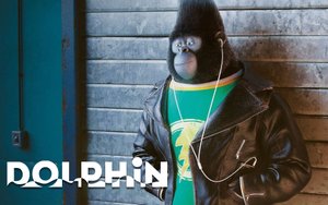 Im Still Standing / Зверопой | Sing / DOLPHiN