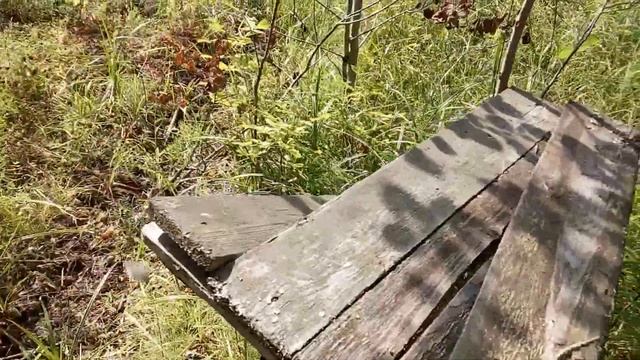 Идём на кордон, разные следы зверей и Амикан скушал сохатого. смотреть онлайн