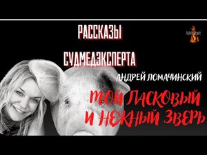 Рассказы Судмедэксперта МОЙ ЛАСКОВЫЙ И НЕЖНЫЙ ЗВЕРЬ автор Андрей Ломачинский.