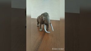МАМОНТ ДРЕВНИЕ ЖИВОТНОЕ РУБРИКА ДРЕВНИЕ ЖИВОТНОЕ