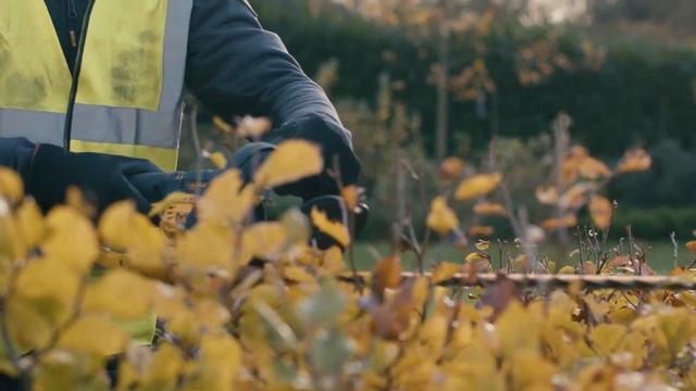 Аккумуляторный кусторез DEWALT DCMHT563N, 18В, нож 55 см, шаг 25 см смотреть онлайн