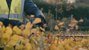 Аккумуляторный кусторез DEWALT DCMHT563N, 18В,  нож 55 см, шаг 25 см