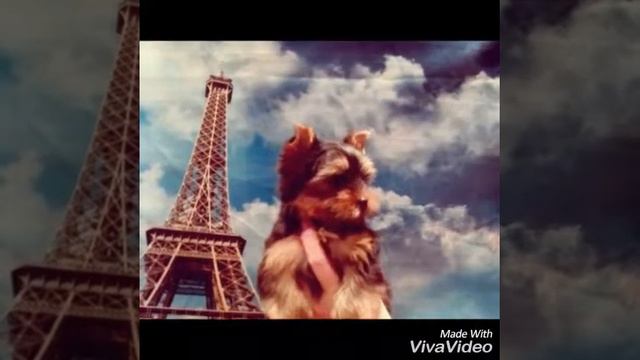 Кукольный мальчик смотреть онлайн