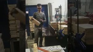 Рогатый улей