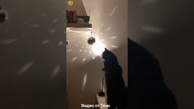 Именно так я слышу эту песню))) Georgiandisco смотреть онлайн