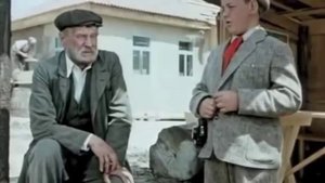 Хочу стать прокурором или судьей