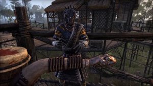 ESO Murkmire: Male Argonian bard song 1 (Jel language)