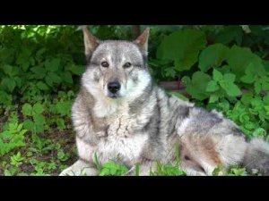 Замена насоса ЭЦВ 6-16-140 на насос ЭЦВ 6-16-190