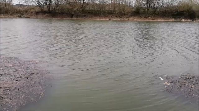 РЫБАЛКА на озере Рылеево, мкр.Малышево, г.Воронеж, 18.04.2023 года смотреть онлайн