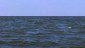 Маленький остров. (Остров Плешивец). Рыбинск.