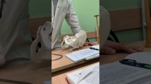 Пельвиометрия