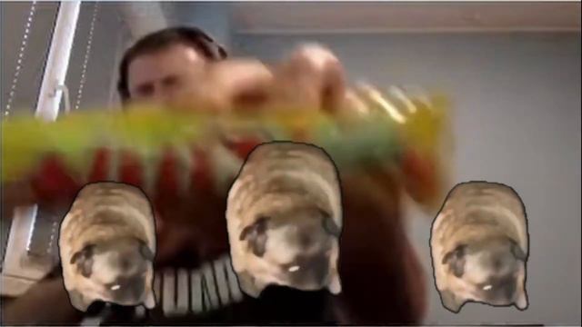 ТРОЕ МОПСОВ ЖЁСТКО ЗАФЛЕКСИЛИ С ПАПИЧЕМ ПОД ПАМ ПА РА ПА смотреть онлайн