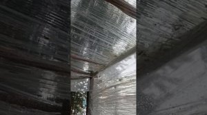 Сазан, обское море ч2