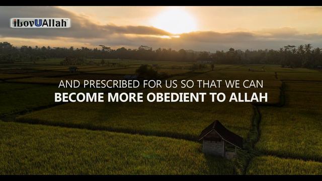 ALLAH SPEAKS ABOUT WHY MUSLIMS FAST IN RAMADAN смотреть онлайн