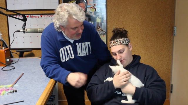 What Is the Best Age to Adopt a Kitten? смотреть онлайн