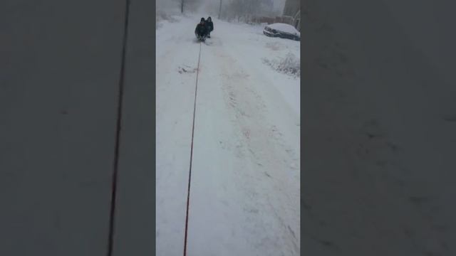 Как правильно кататься на санках смотреть онлайн