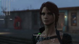 fallout 4 test xeon 2666 v3  undervolt-80 16gb ram gtx1660