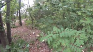 Пробуем обойти Малый Березовый остров