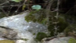 Водопровод из ручья в горах Куэнки