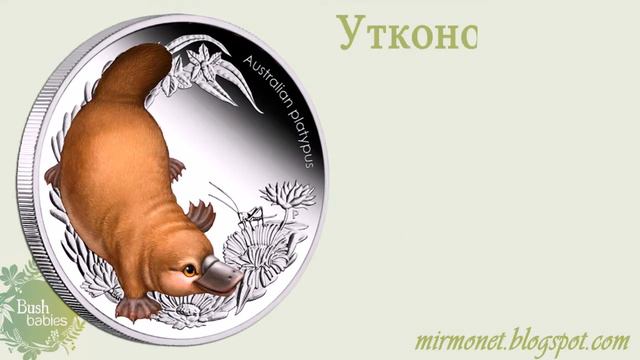 Мир монет. Серия "Bush Babies II" смотреть онлайн