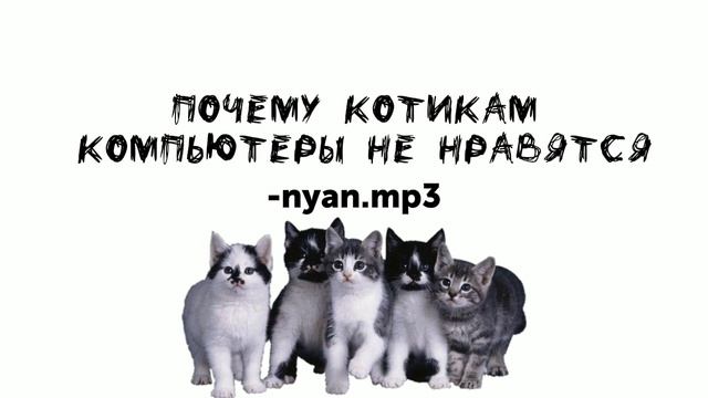 Почему котикам компьютеры не нравится-nyan.mp3