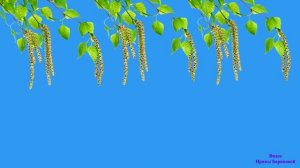 для бумажного оркестра