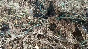 Свалка приносит свои плоды!!! ПОИСК МЕТАЛЛА НА СВАЛКЕ СССР!!!