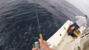 Bottom fishing for Grouper