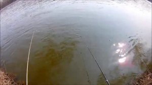 Природа и рыбалка на Дону 04.04.2020