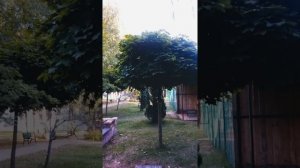 Псковская обл Санаторий Голубые озёра,сентябрь 2020