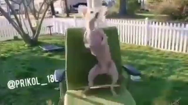 У нас сегодня танцы