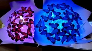 букет из бабочек светящийся