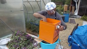 Измельчение Иван-чая на Измельчителе кормов Вихрь ИК 3 в 1 74/2/5