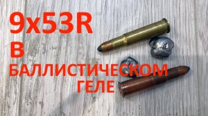 Пуля SP патрона 9х53R в баллистическом геле.